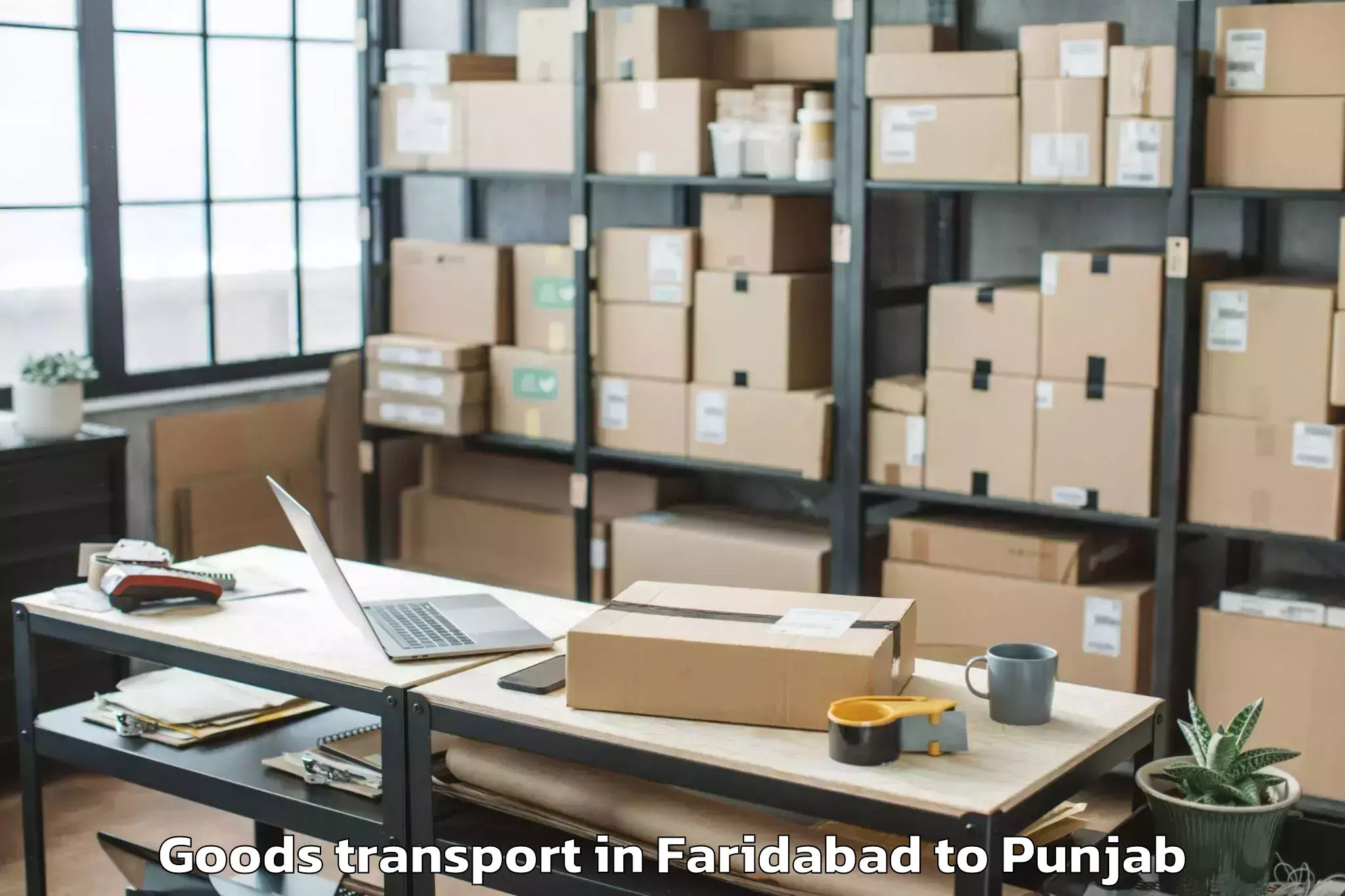 Trusted Faridabad to Zira Goods Transport